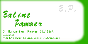 balint pammer business card